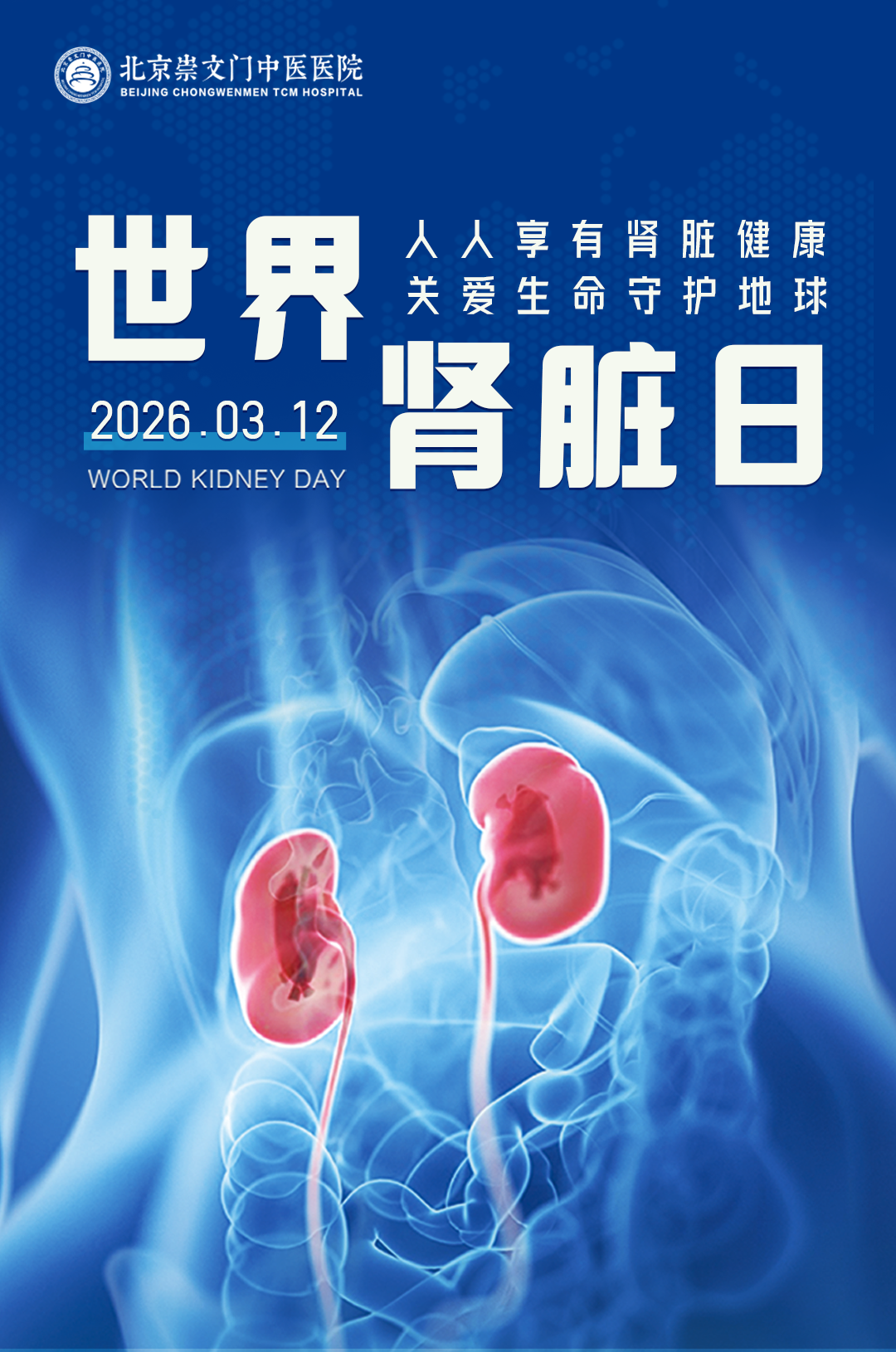 世界肾脏日|北京崇文门中医医院：尹德海主任受邀BTV传授中医护肾之道